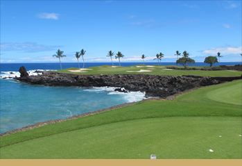 Mauna Lani Resort Services